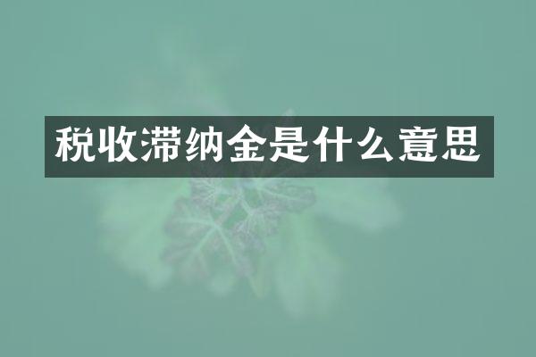 税收滞纳金是什么意思