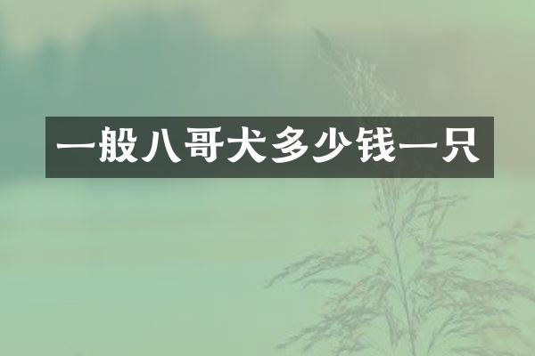一般八哥犬多少钱一只