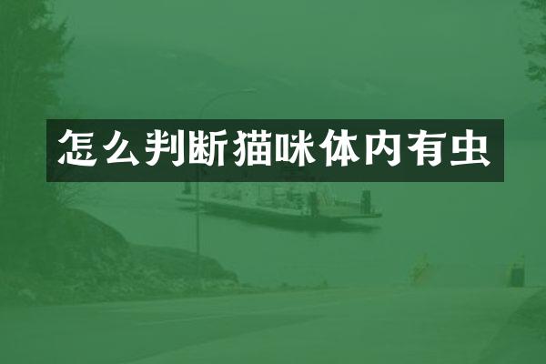 怎么判断猫咪体内有虫