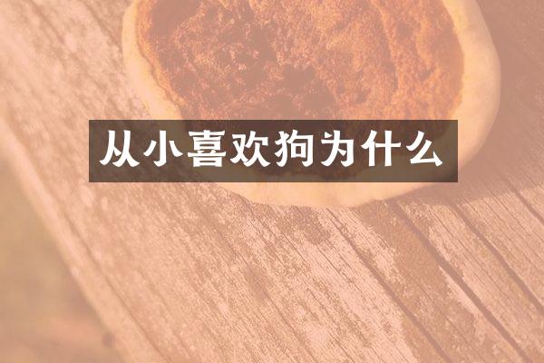 从小喜欢狗为什么