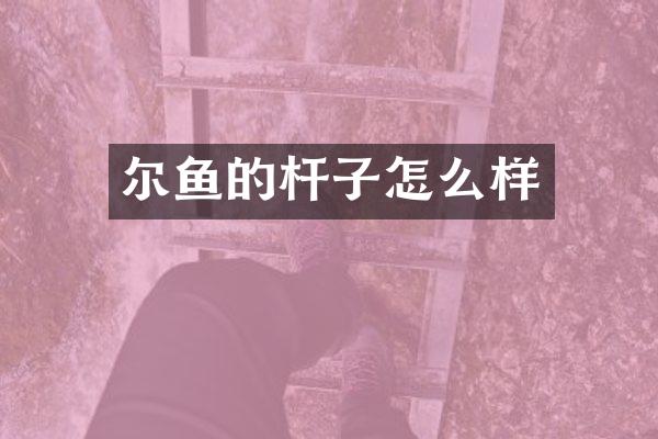 尔鱼的杆子怎么样