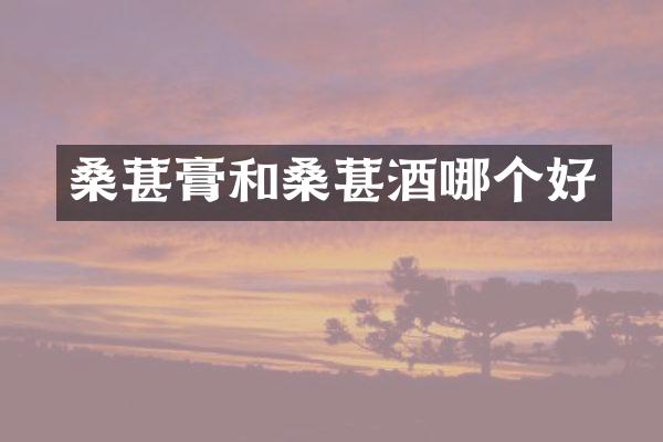 桑葚膏和桑葚酒哪个好