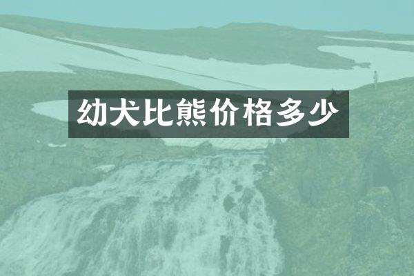 幼犬比熊价格多少