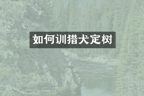 如何训猎犬定树