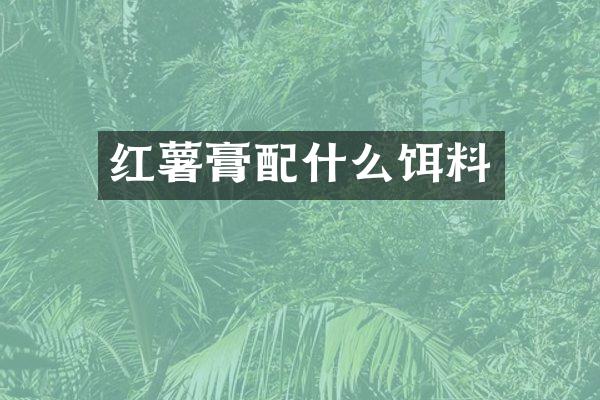 红薯膏配什么饵料