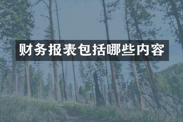 财务报表包括哪些内容