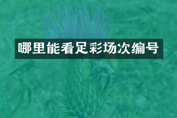哪里能看足彩场次编号