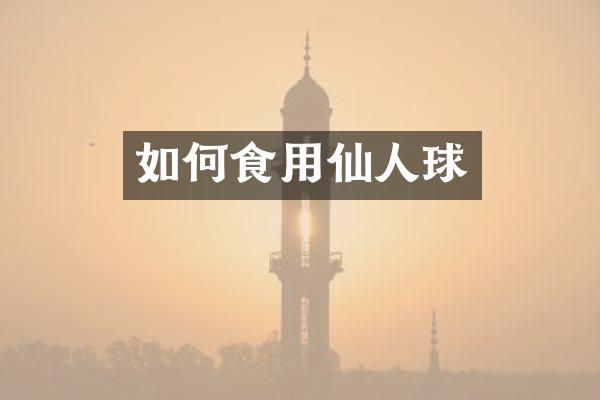 如何食用仙人球