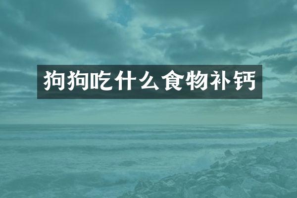 狗狗吃什么食物补钙
