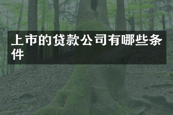 上市的贷款公司有哪些条件