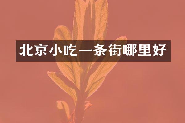 北京小吃一条街哪里好