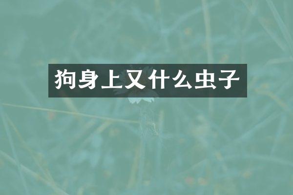 狗身上又什么虫子
