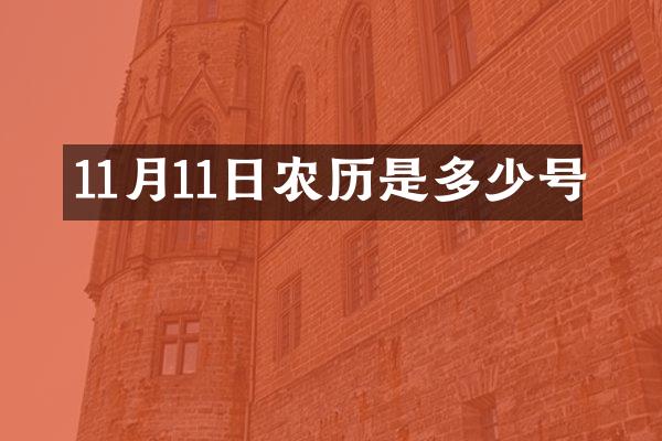 11月11日农历是多少号