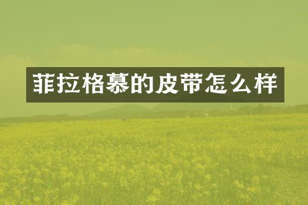菲拉格慕的皮带怎么样