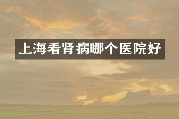 上海看肾病哪个医院好