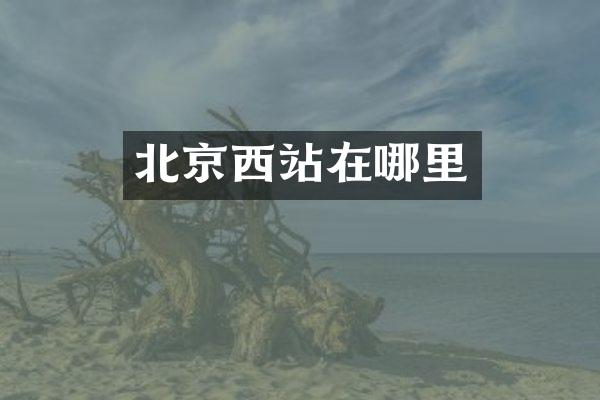 北京西站在哪里