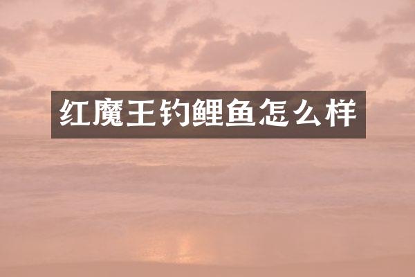 红魔王钓鲤鱼怎么样