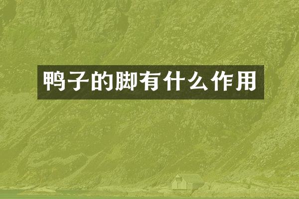 鸭子的脚有什么作用