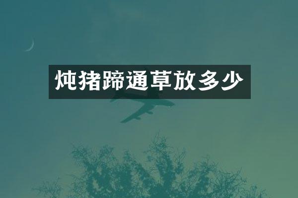 炖猪蹄通草放多少