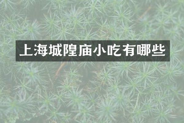 上海城隍庙小吃有哪些