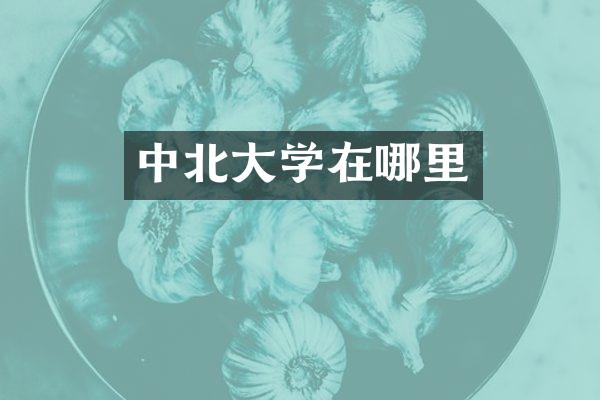 中北大学在哪里
