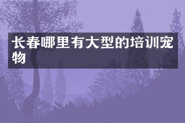长春哪里有大型的培训宠物