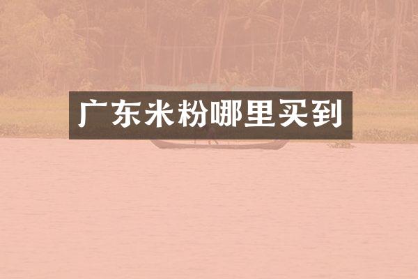 广东米粉哪里买到