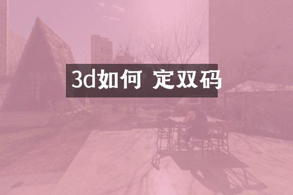 3d如何 定双码