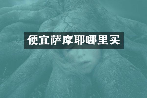 便宜萨摩耶哪里买