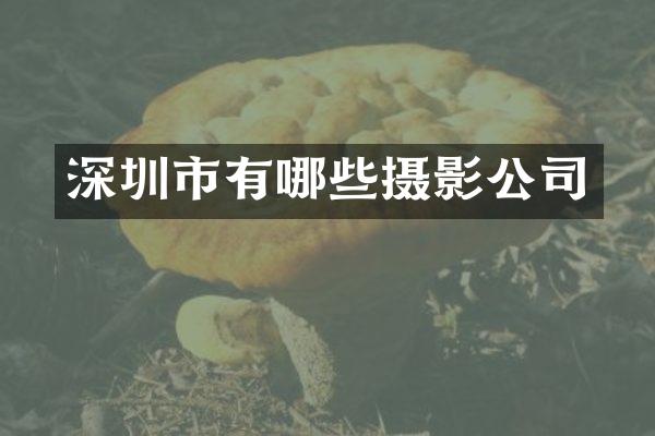 深圳市有哪些摄影公司