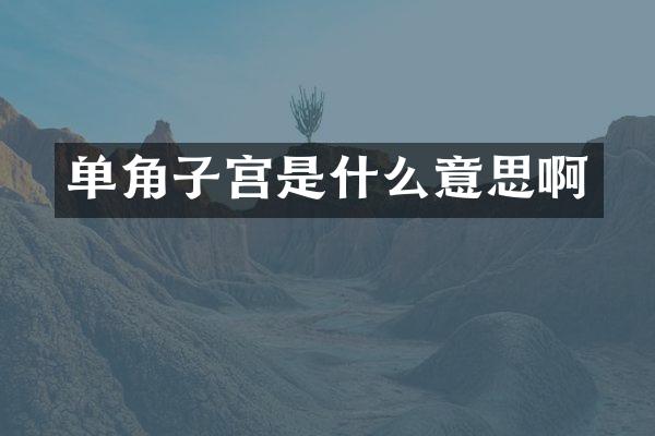 单角子宫是什么意思啊