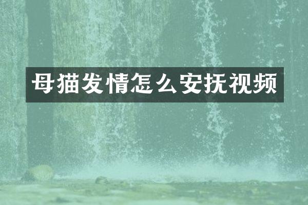 母猫发情怎么安抚视频