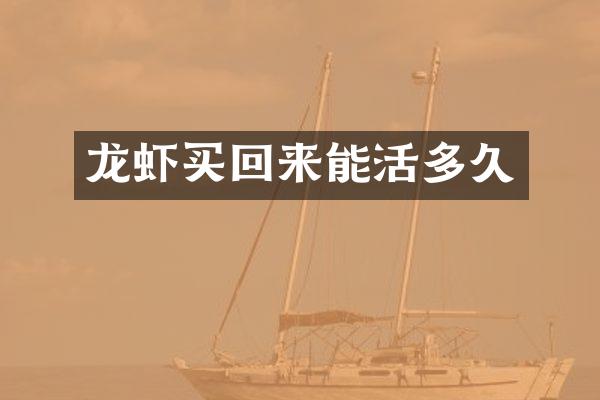 龙虾买回来能活多久