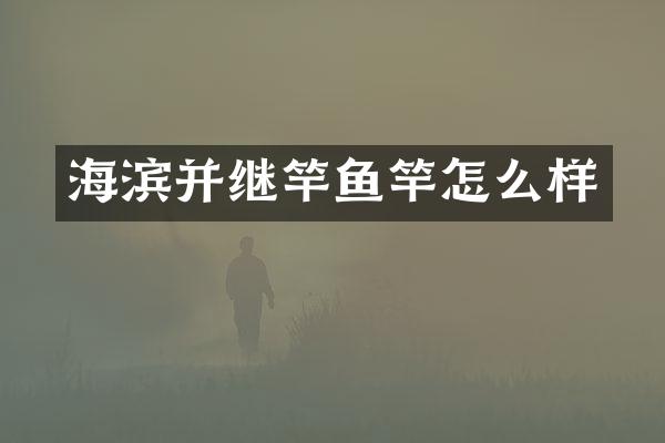 海滨并继竿鱼竿怎么样