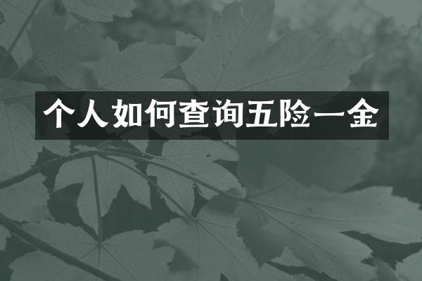 个人如何查询五险一金