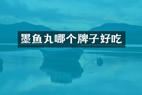 墨鱼丸哪个牌子好吃