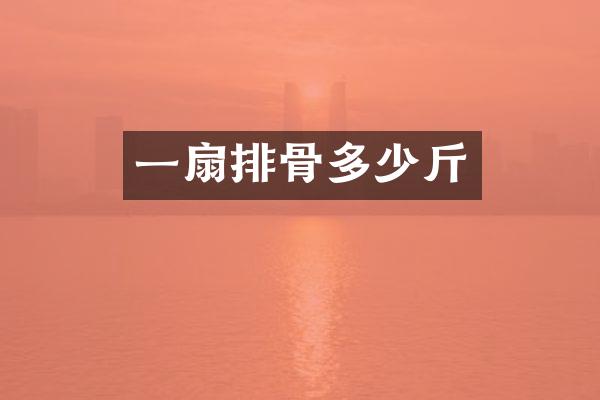 一扇排骨多少斤