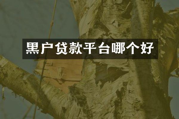 黑户贷款平台哪个好