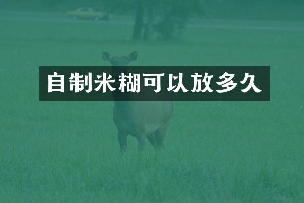 自制米糊可以放多久