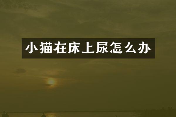 小猫在床上尿怎么办