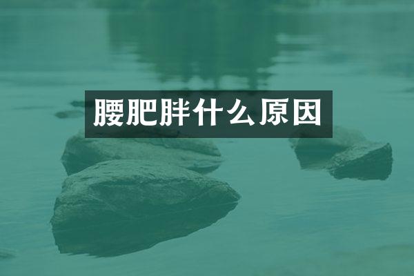 腰肥胖什么原因