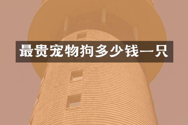 最贵宠物狗多少钱一只