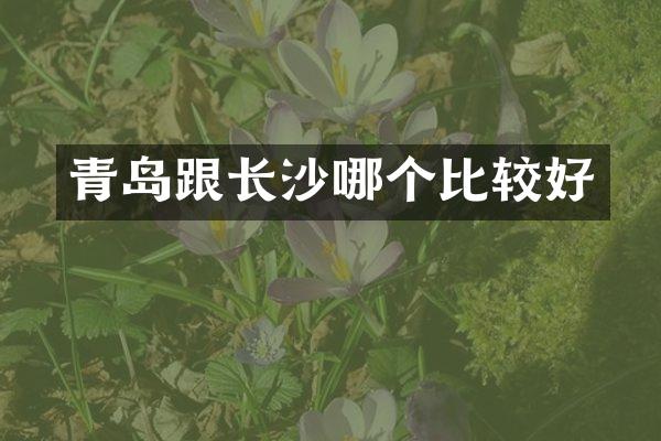 青岛跟长沙哪个比较好