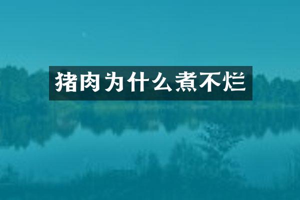 猪肉为什么煮不烂