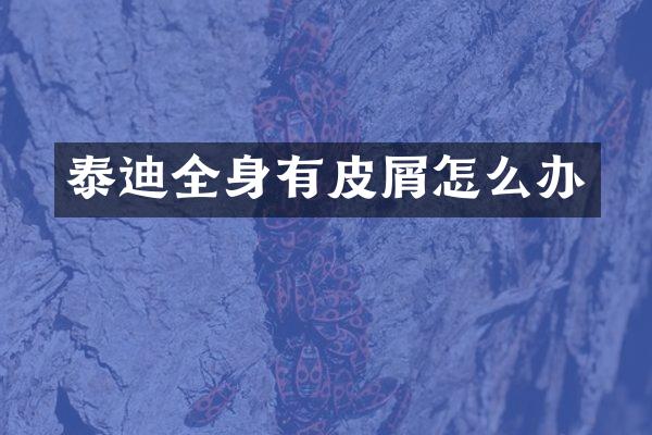 泰迪全身有皮屑怎么办