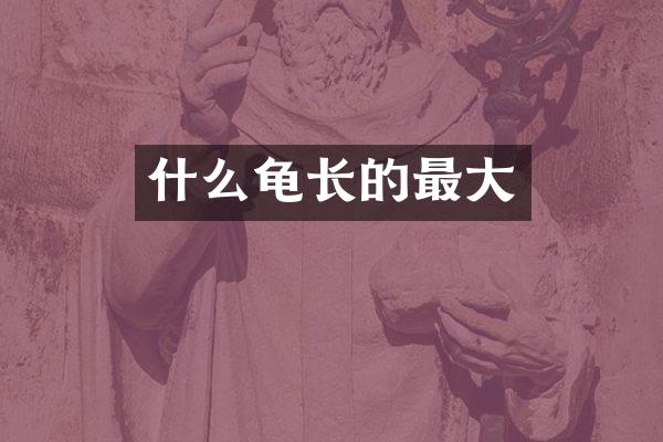 什么龟长的最大