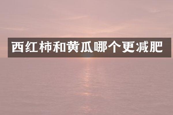 西红柿和黄瓜哪个更减肥