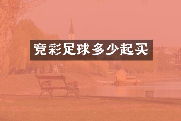 竞彩足球多少起买