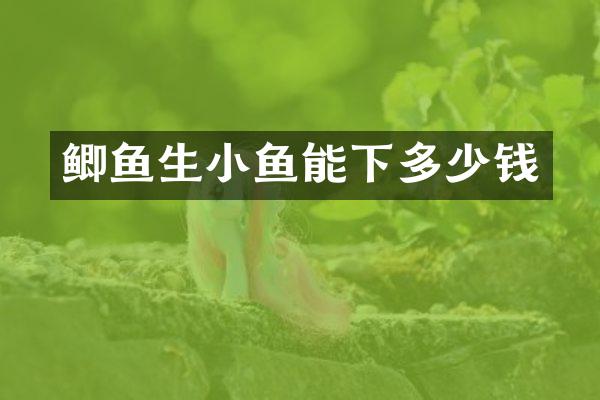 鲫鱼生小鱼能下多少钱