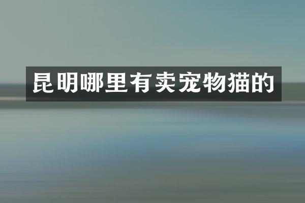 昆明哪里有卖宠物猫的